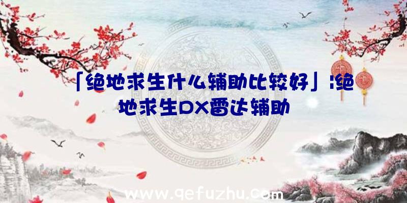 「绝地求生什么辅助比较好」|绝地求生DX雷达辅助